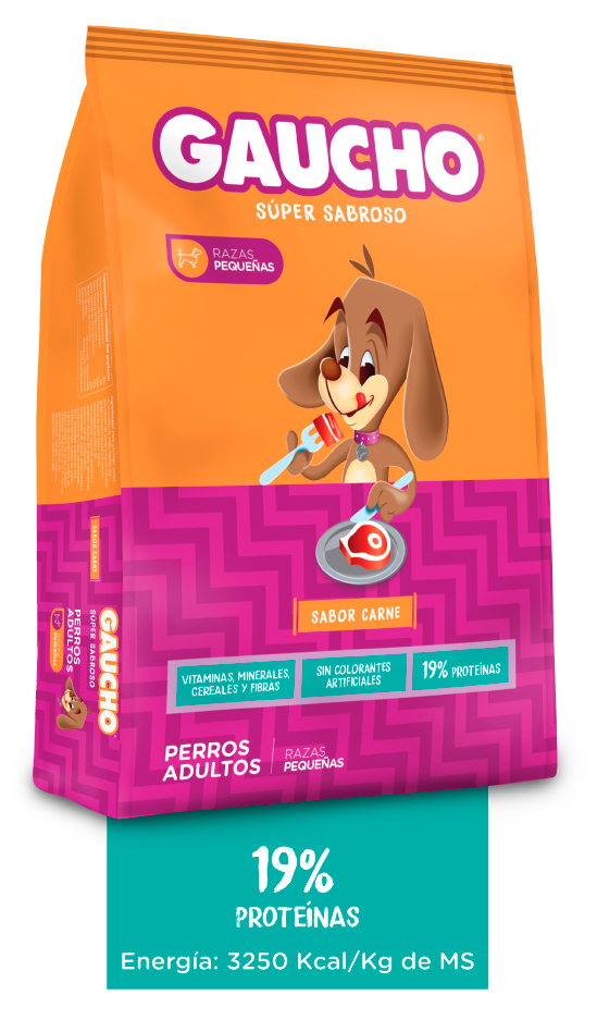 Gaucho Perro Cachorro