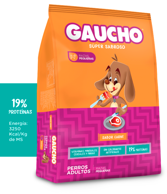 Gaucho Perro Cachorro