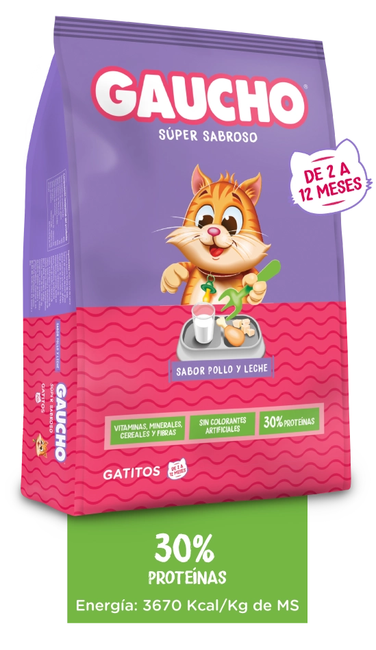 Gaucho Gatitos