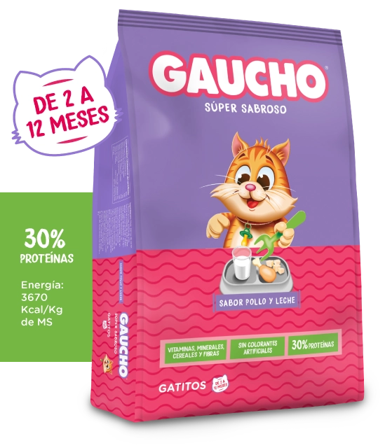 Gaucho Gatitos
